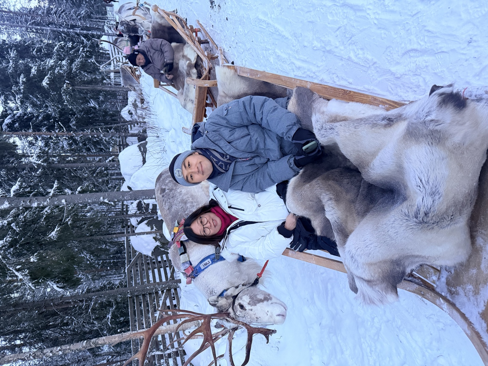 Northern Lights tour experience in Finnish Lapland — traveller photo 140