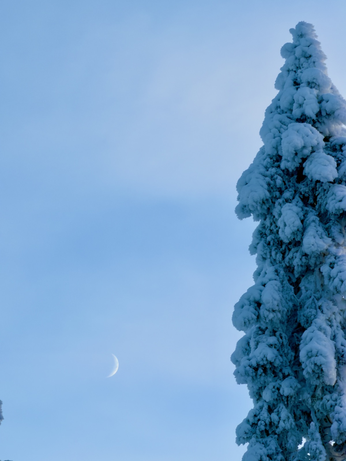 Northern Lights tour experience in Finnish Lapland — traveller photo 143