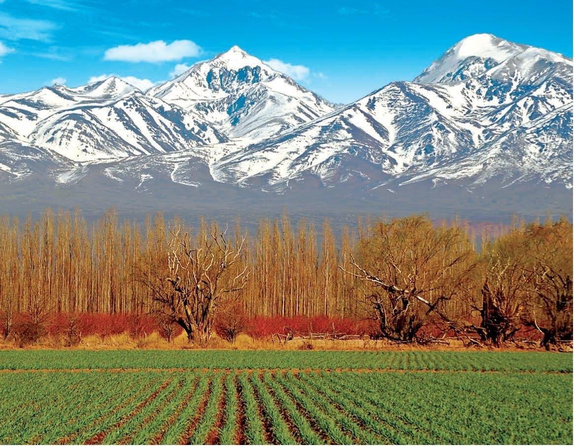 Amazing Salta photo 2