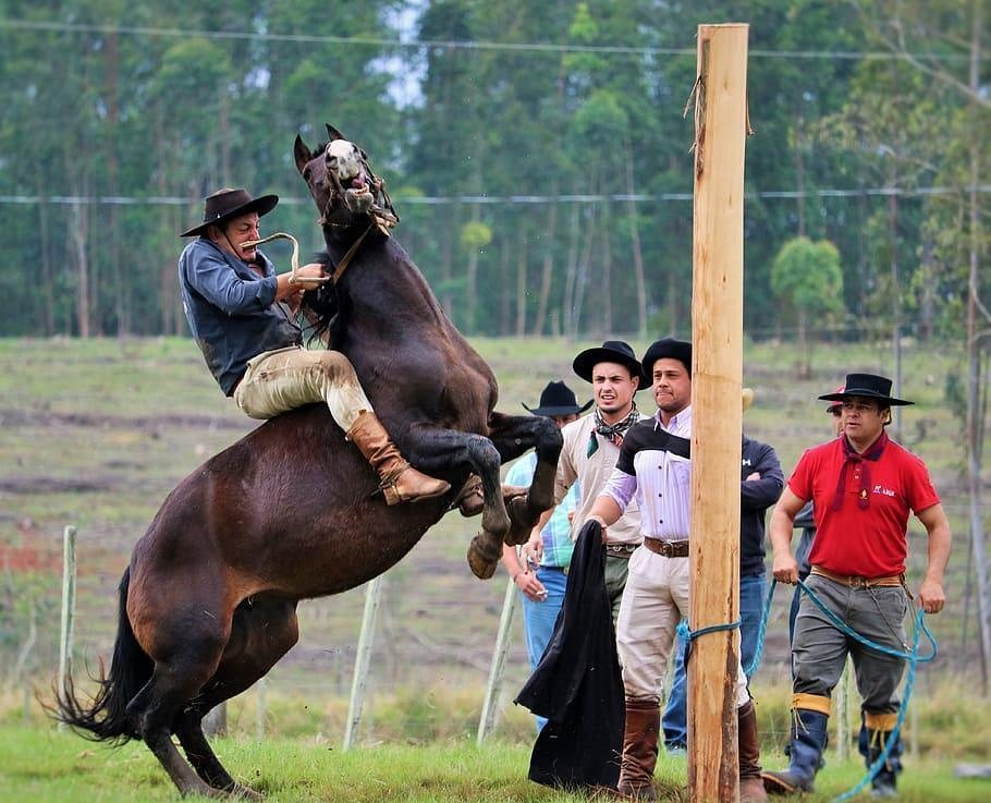Argentina Bue Salta Igu photo 5