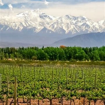 Argentina for Good Life Degustators photo 6