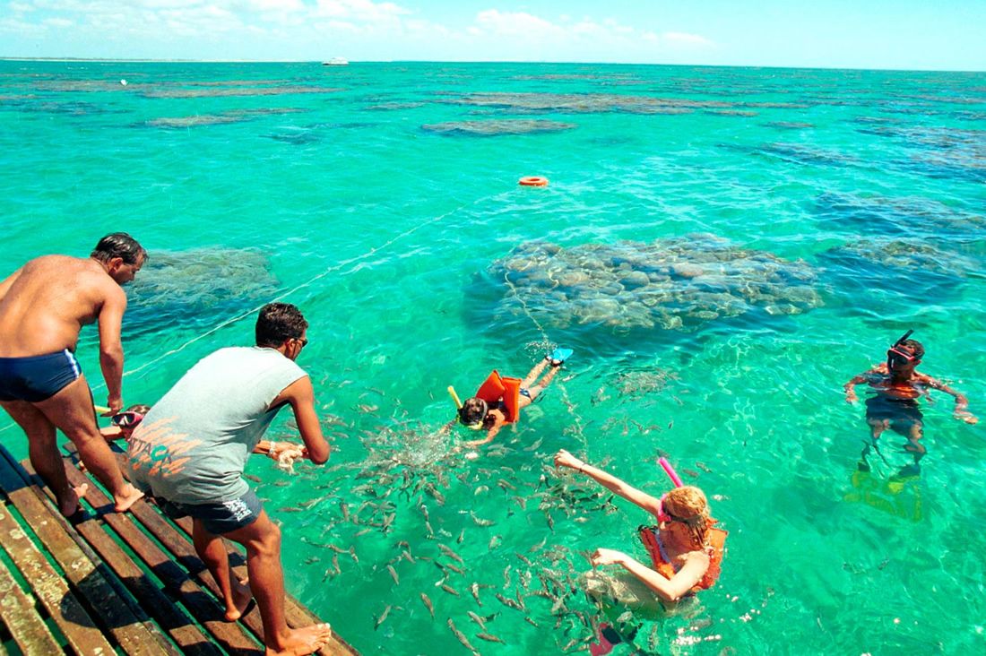 Dunes,Lagoons,Waterfalls and Beaches photo 5