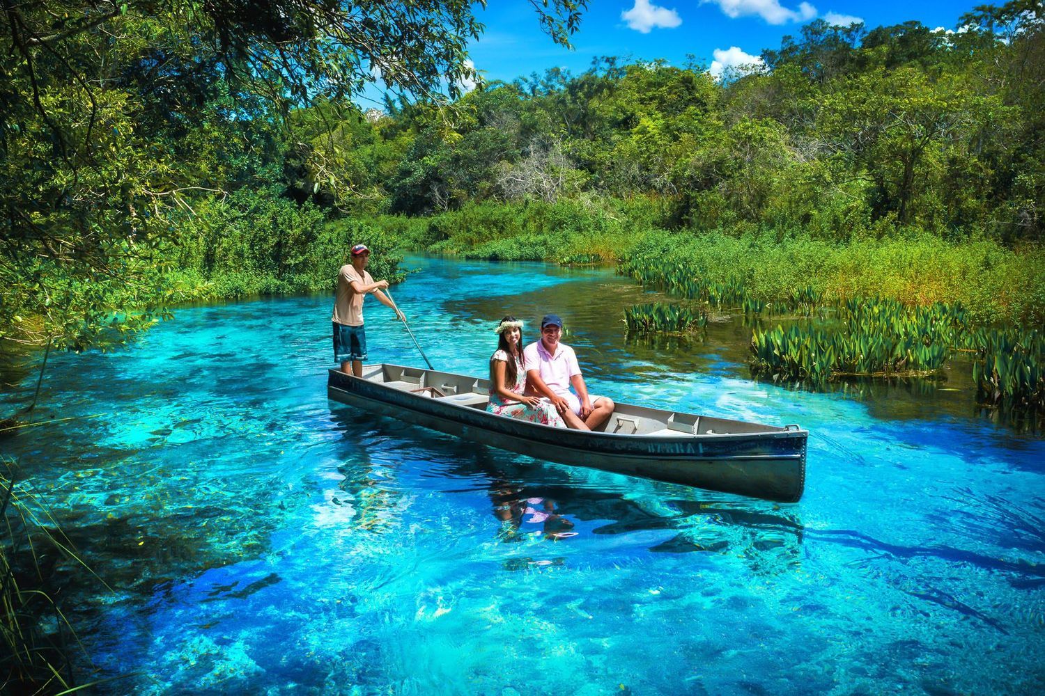Exotic Cocktail Rio-Igu-Pantanal-Bonito-Buzios photo 3