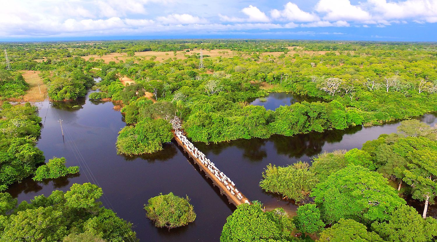 Southern Pantanal & Bonito photo 2
