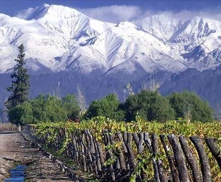 Ultimate Patagonia, Chile and Argentina in One Trip photo 6